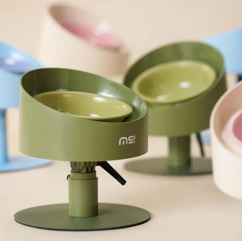 Olive green elevated pet bowl with adjustable stand for cats and dogs, stylish modern design
