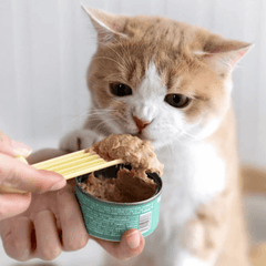 Mango Pet Multifunctional Spoon – All-in-One Measuring Scoop for Cats & Dogs-Petroom