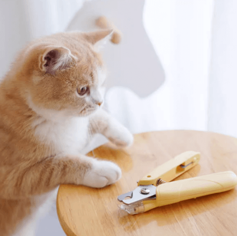 Mango Pet Nail Clipper with LED – Safe, Anti-Bleeding Nail Trimmer for Cats & Dogs-Petroom