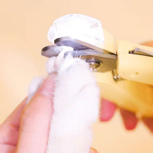 Mango Pet Nail Clipper with LED – Safe, Anti-Bleeding Nail Trimmer for Cats & Dogs-Petroom