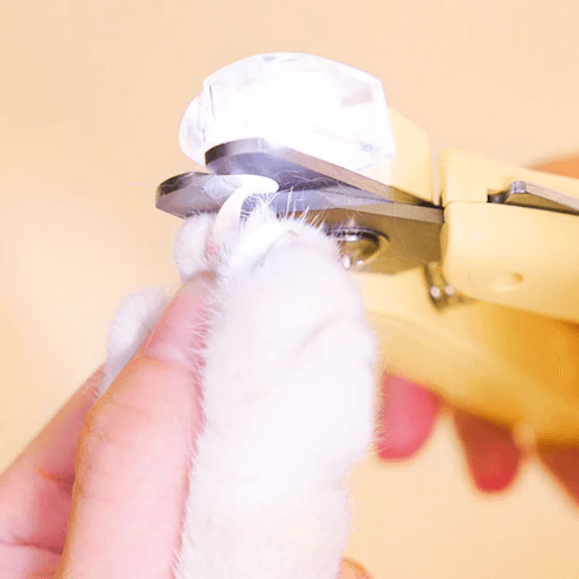 Mango Pet Nail Clipper with LED – Safe, Anti-Bleeding Nail Trimmer for Cats & Dogs-Petroom