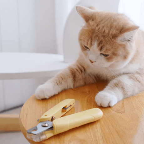 Mango Pet Nail Clipper with LED – Safe, Anti-Bleeding Nail Trimmer for Cats & Dogs-Petroom