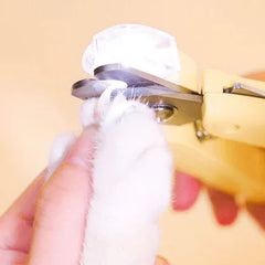Mango Pet Nail Clipper with LED – Safe, Anti-Bleeding Nail Trimmer for Cats & Dogs-Petroom