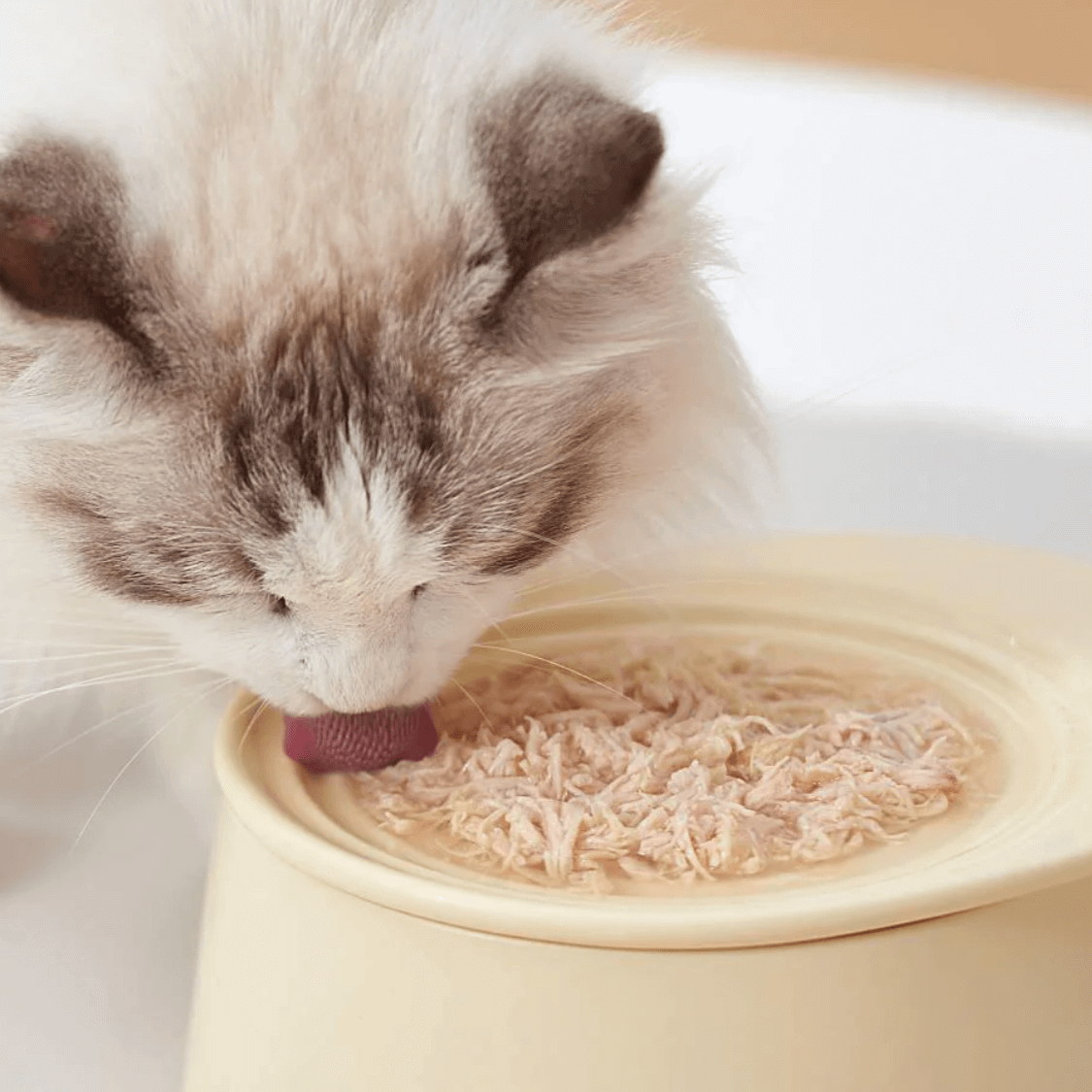 Michu Ceramic 3pcs Dinnerware Set- Raised Bowl and Plate Set for Everyday Pets Essentials-Petroom