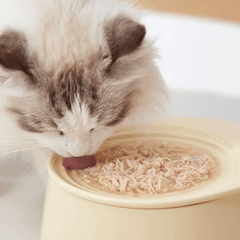 Michu Ceramic 3pcs Dinnerware Set- Raised Bowl and Plate Set for Everyday Pets Essentials-Petroom