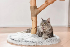 Michu Fluffy Blossom Real Wooden Cat Tree - Premium Quality & Stylish Cat Furniture - Extra Large-Petroom