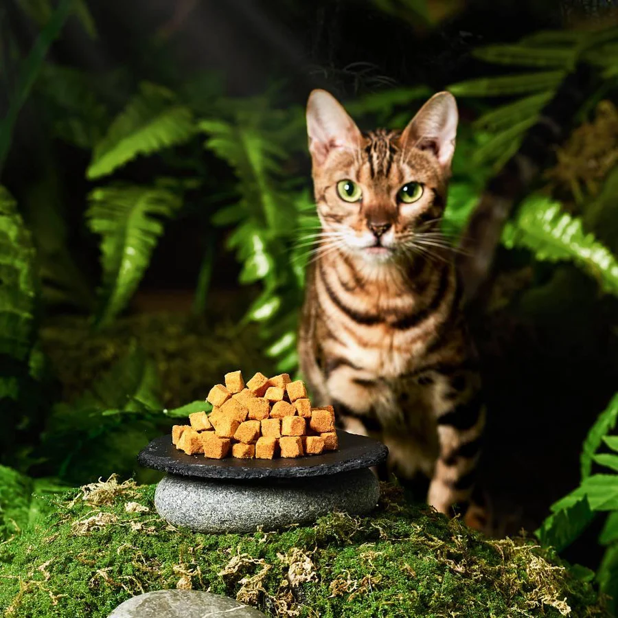 Michu Freeze-Dried Raw Pet Food Dog & Cat Treat 150g - Made in Australia-Petroom