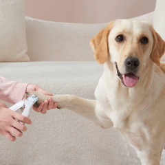 Michu Hygiene LED Light Cat/Dog Nail Clipper 2.0 Version-Petroom