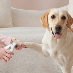 Michu Hygiene LED Light Cat/Dog Nail Clipper 2.0 Version-Petroom