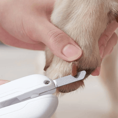 Michu Hygiene LED Light Cat/Dog Nail Clipper 2.0 Version-Petroom