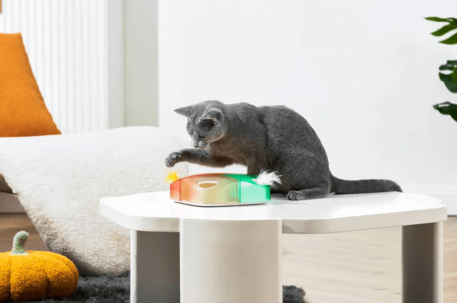 Michu Interactive Feathered Rechargeable Automatic Cat Toy Box-Petroom