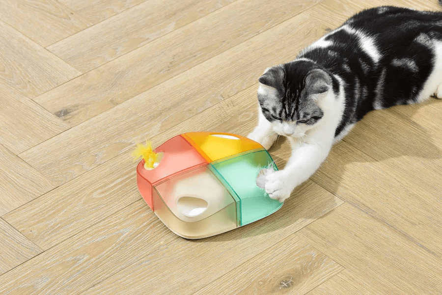 Michu Interactive Feathered Rechargeable Automatic Cat Toy Box-Petroom