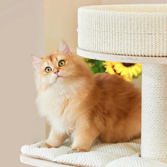 Michu Luna Multi-Layer Solid Wood Cat Nest Tree-Petroom