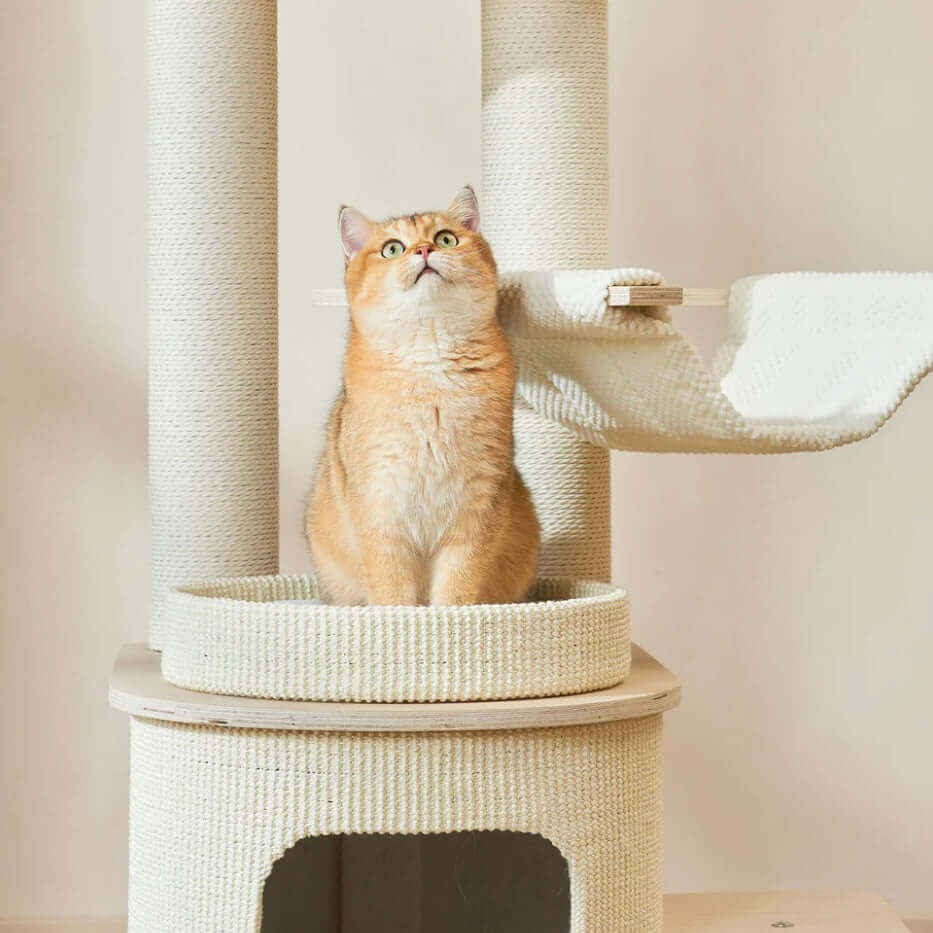 Michu Luna Multi-Layer Solid Wood Cat Nest Tree-Petroom
