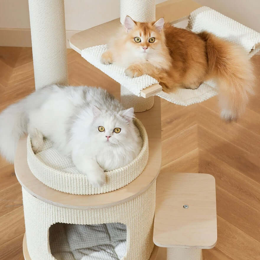 Michu Luna Multi-Layer Solid Wood Cat Nest Tree-Petroom