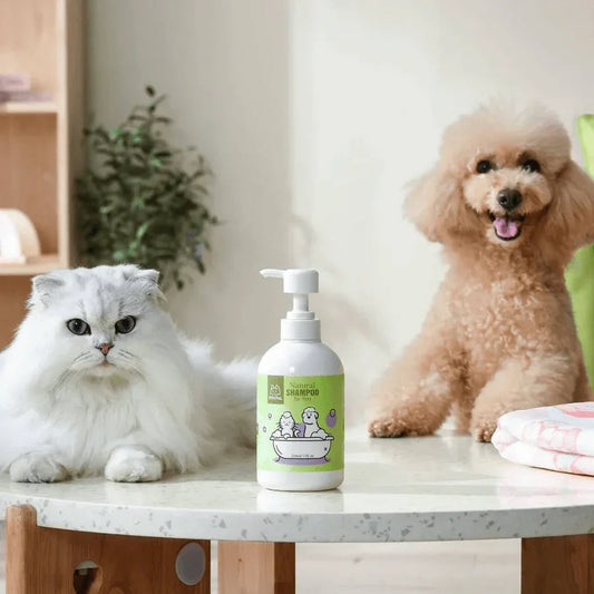 Michu Pet Shampoo - Australia's Best Natural Pet Shampoo for a Shiny Coat with a cat and a dog in a bright room.