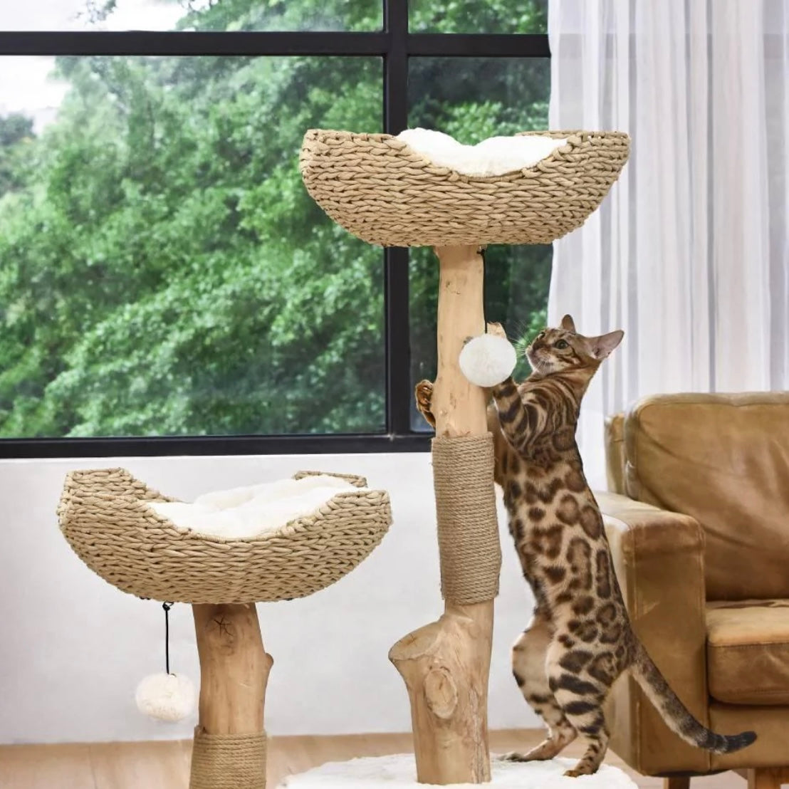 Michu Premium Real Wooden Cat Tree-Large- Spacious Australian Feline Haven Pre-Order-Petroom