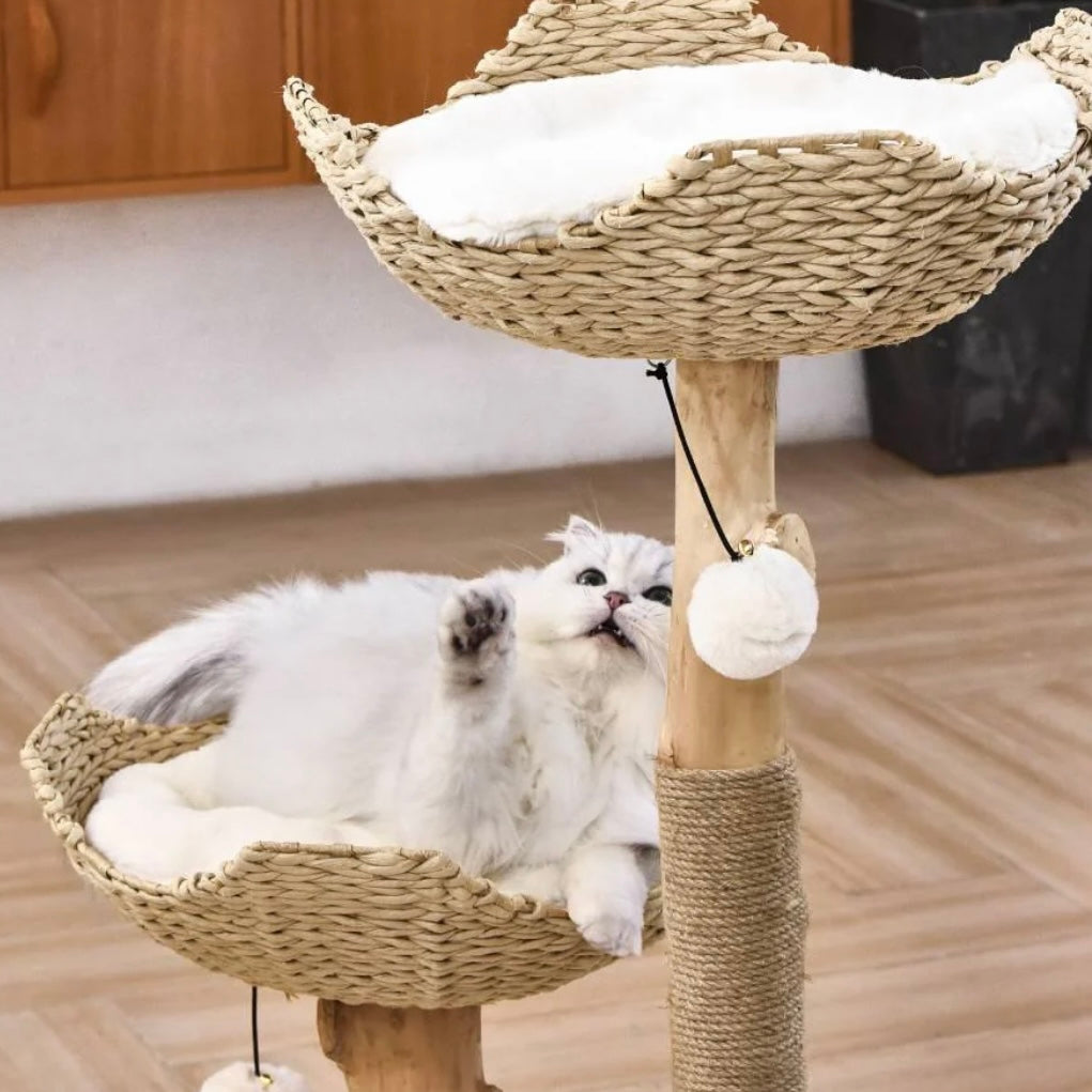 Michu Premium Real Wooden Cat Tree-Large- Spacious Australian Feline Haven Pre-Order-Petroom