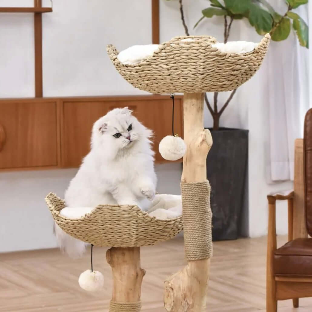 Michu Premium Real Wooden Cat Tree-Large- Spacious Australian Feline Haven Pre-Order-Petroom