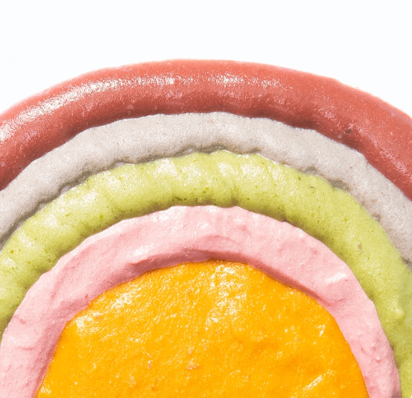 Michu Rainbow Mousse Wet Cat Food 5 Flavours- Complete Food/Wet Mixer and Topper 10pcs/Pack-Petroom