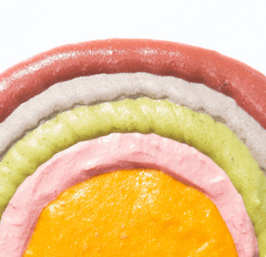 Michu Rainbow Mousse Wet Cat Food 5 Flavours- Complete Food/Wet Mixer and Topper 10pcs/Pack-Petroom