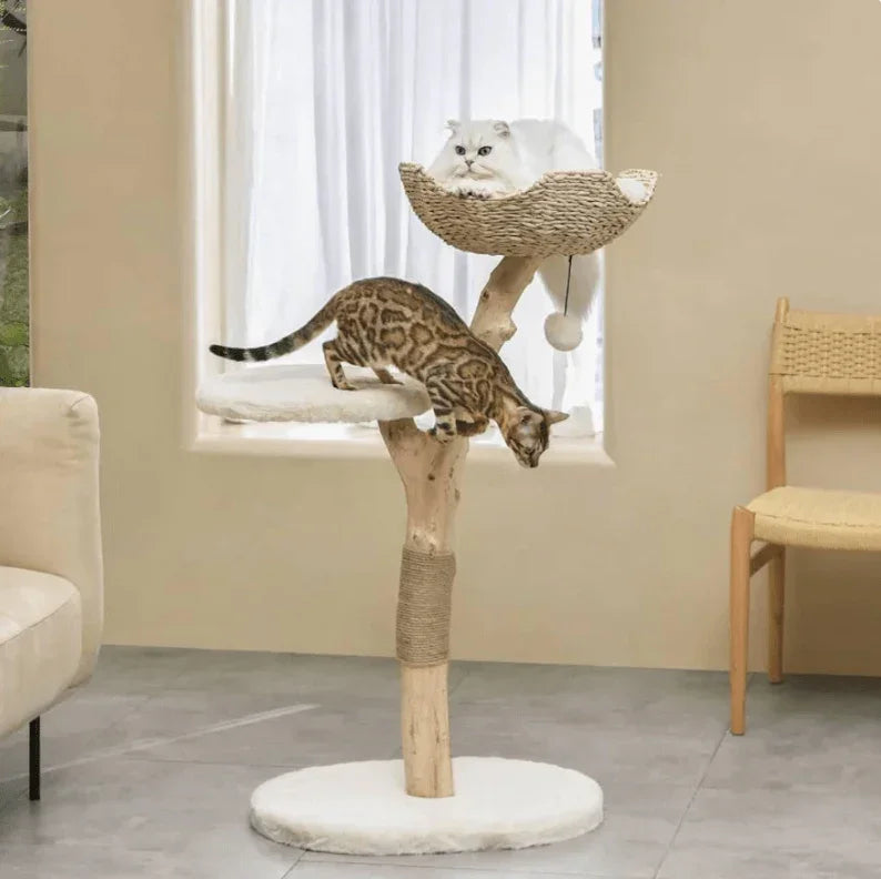 Modern cat tree with woven basket perch and sisal scratching post for cats to climb and rest