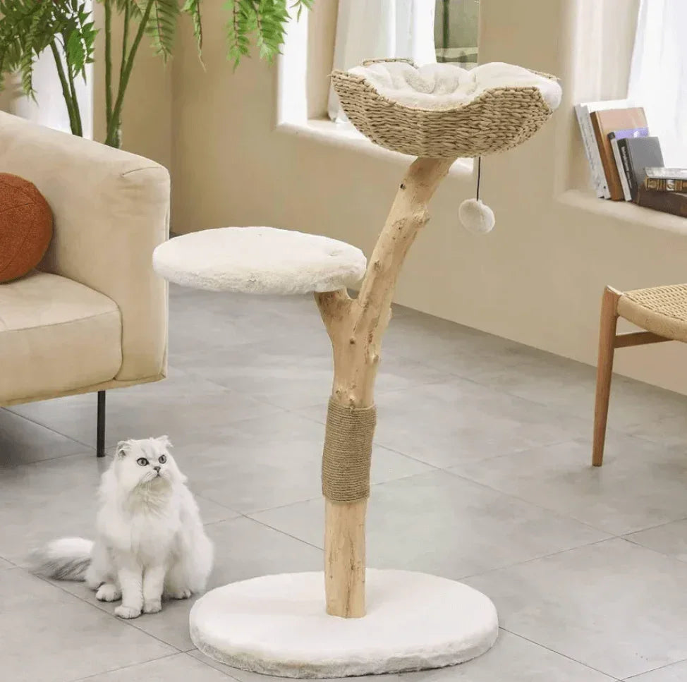 Natural wood cat tree with wicker basket bed, plush platforms, and sisal scratching post for cats