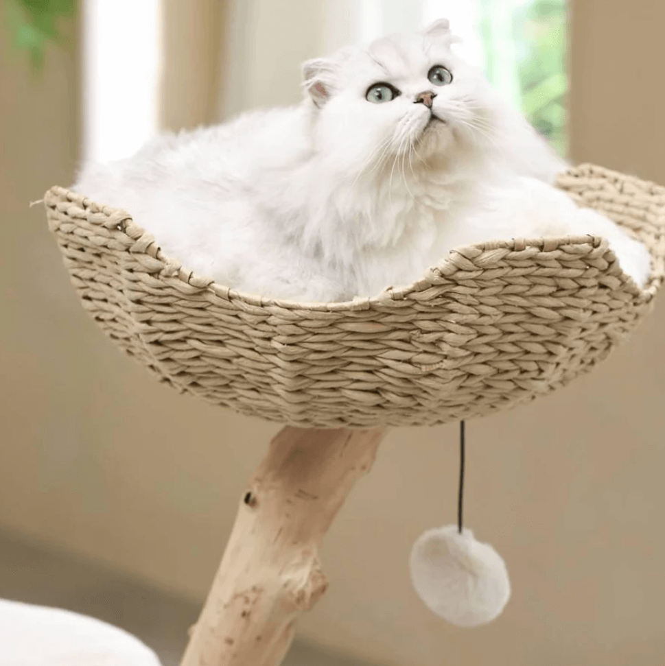 Michu Selected Real Wood Cat Tree - Medium - The Ultimate Feline Playground for Aussie Cats-Petroom