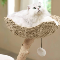 Michu Selected Real Wood Cat Tree - Medium - The Ultimate Feline Playground for Aussie Cats-Petroom