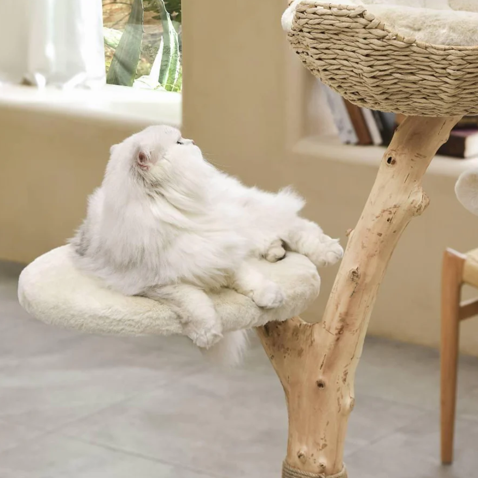 Michu Selected Real Wood Cat Tree - Medium - The Ultimate Feline Playground for Aussie Cats-Petroom