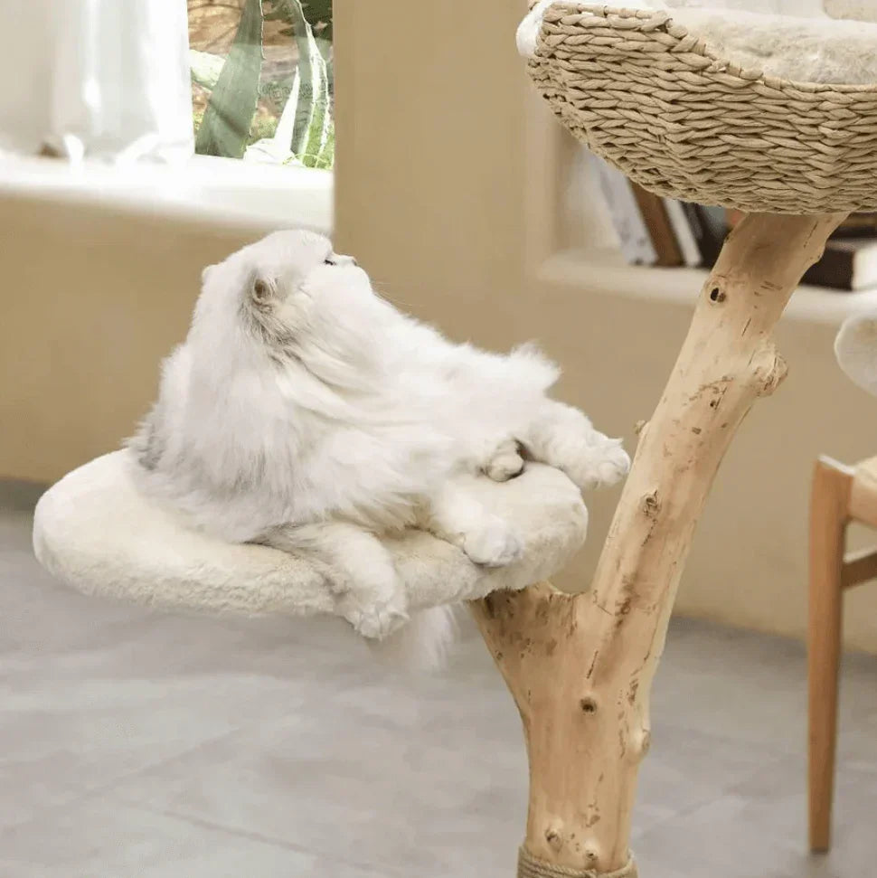Fluffy white cat lounging on a natural wood cat tree with plush perch and woven basket