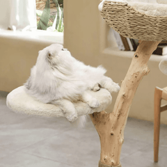 Michu Selected Real Wood Cat Tree - Medium - The Ultimate Feline Playground for Aussie Cats-Petroom