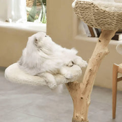 Fluffy white cat lounging on a natural wood cat tree with plush perch and woven basket