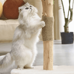Michu Selected Real Wood Cat Tree - Medium - The Ultimate Feline Playground for Aussie Cats-Petroom