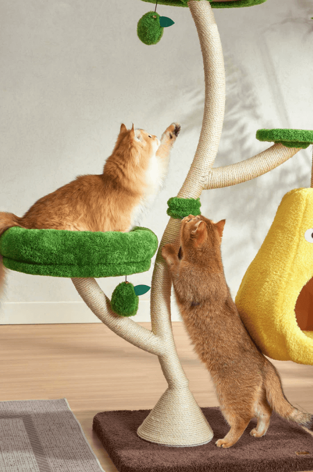 Michu Verde Solid Wooded Base Cat Tree-Petroom