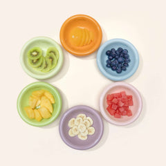 Michu Wide and Shallow Ceramic Pet Bowl-PETROOM