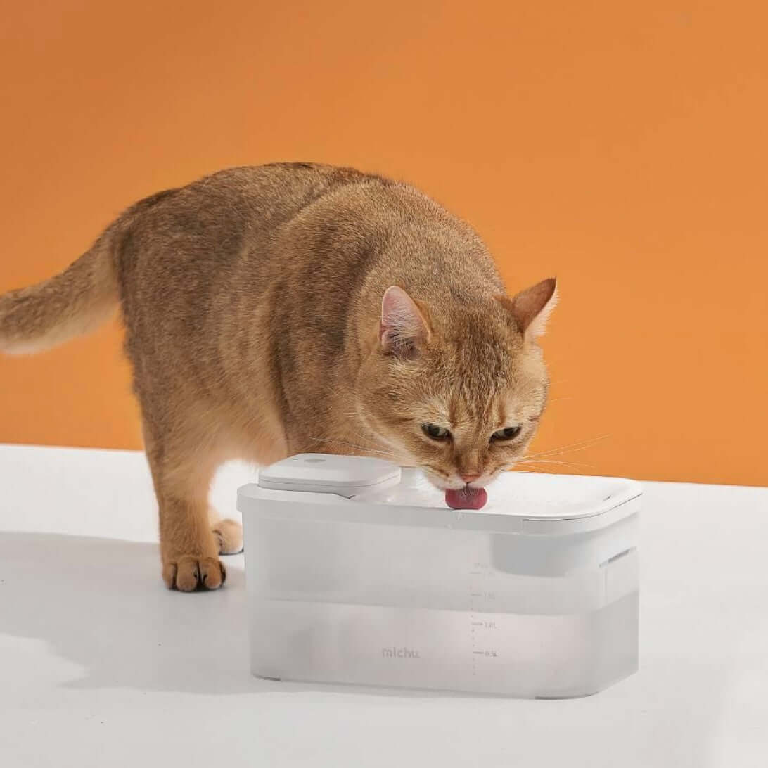 Michu Wireless Cat Water Fountain - Battery Operated Dispenser for Healthy Hydration-Petroom