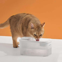 Michu Wireless Cat Water Fountain - Battery Operated Dispenser for Healthy Hydration with a cat drinking water.