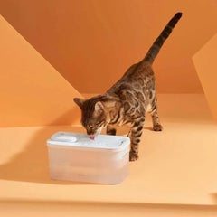 Michu Wireless Cat Water Fountain - Battery Operated Dispenser for Healthy Hydration with a cat drinking water.