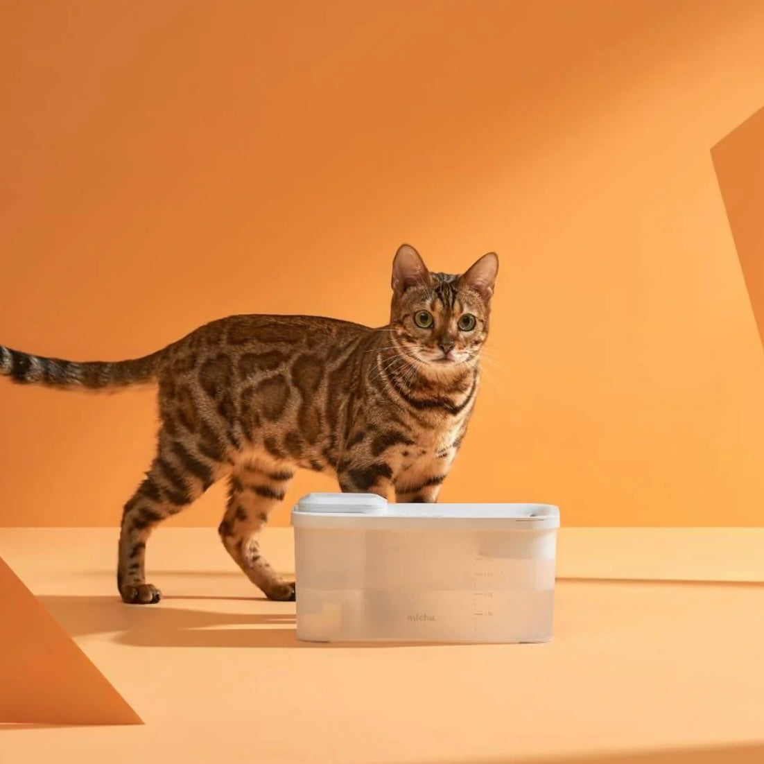 Michu Wireless Cat Water Fountain - Battery Operated Dispenser for Healthy Hydration-Petroom