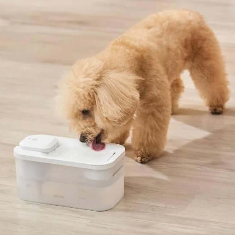 Michu Wireless Cat Water Fountain - Battery Operated Dispenser for Healthy Hydration with a dog drinking.