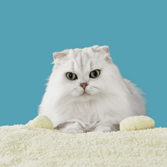 Michu Wonder Litter - Plant-Based & Automatic-Box Friendly 2.5kg/6L-Petroom