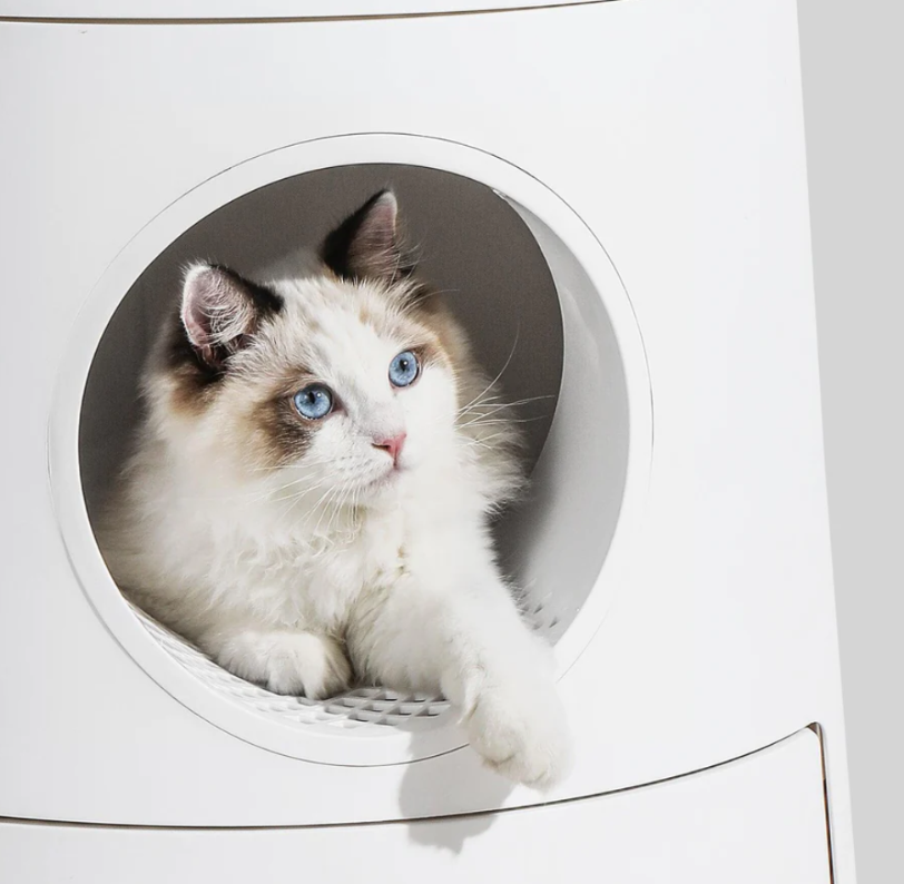 Michu XL Semi Closed Cat Litter Box with Scratch Pad, fluffy cat lounging in a semi-closed litter box.