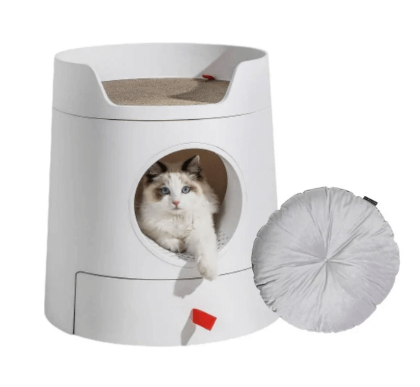 Michu XL Castle 2-in-1 Semi- Closed Cat Litter Box with Scratch Pad in Morandi Green/White-Petroom