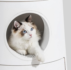 Michu XL Castle 2-in-1 Semi- Closed Cat Litter Box with Scratch Pad in Morandi Green/White-Petroom