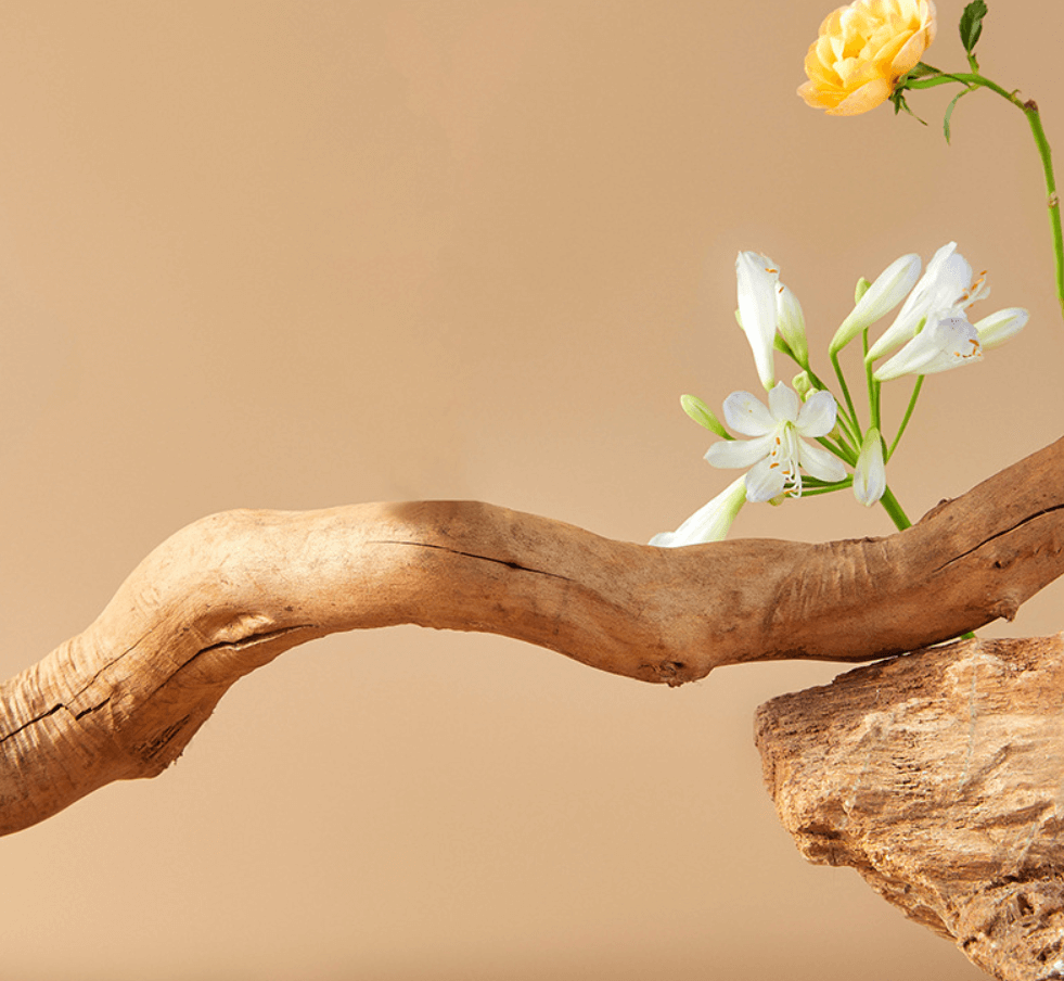 Natural Wood Cat Tree with Cozy Hideaway-Petroom