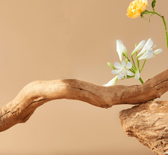 Natural Wood Cat Tree with Cozy Hideaway-Petroom