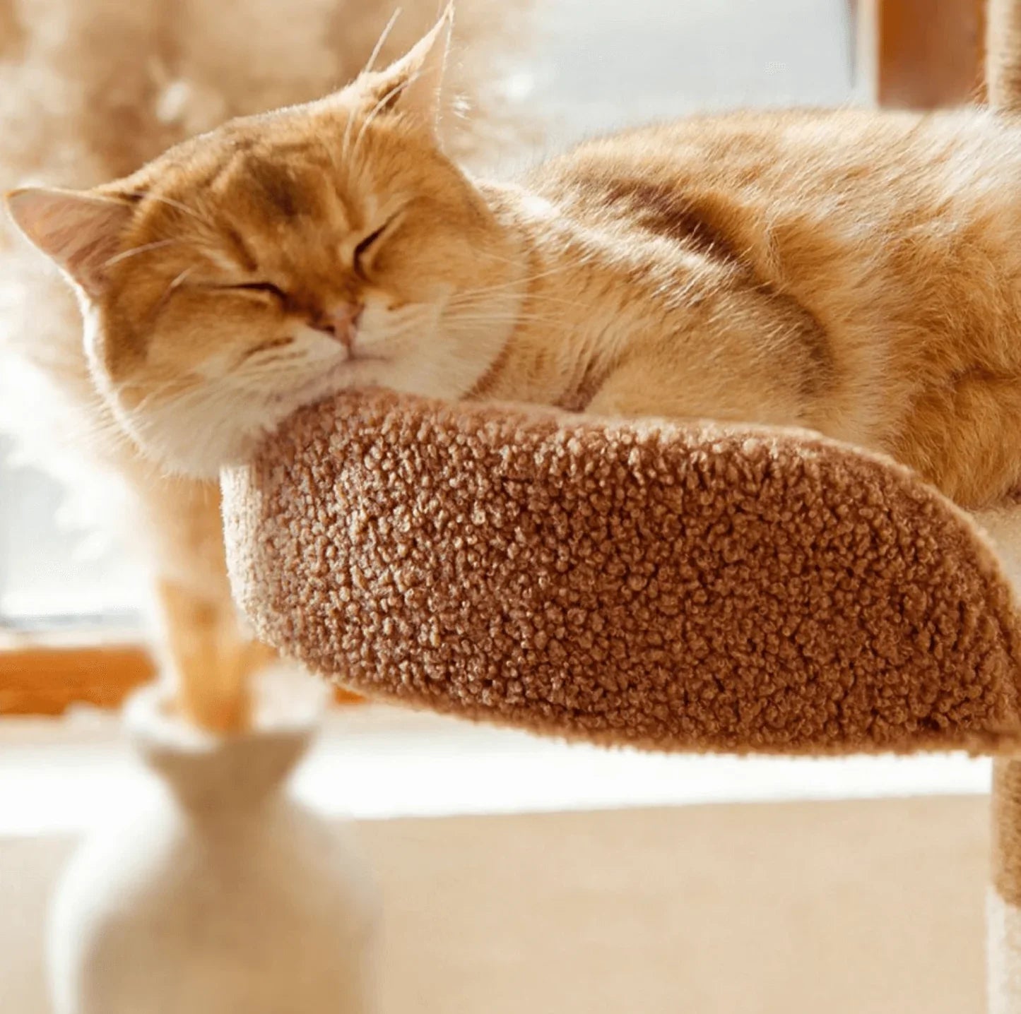 A cozy cat peacefully sleeping on a premium platform of Ona’s Cottage Premium Multi-Level Cat Tower with Cat Scratching Posts.