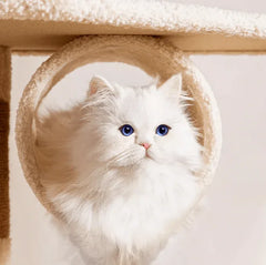 Ona's Cottage Multi-Tier Cat Tree with Cat Scratching Posts-Petroom