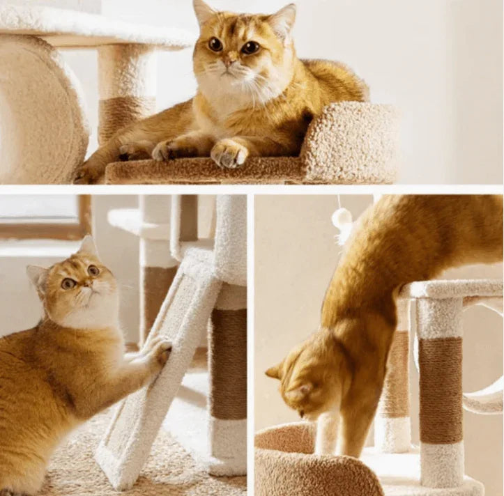 Ona's Cottage Multi-Tier Cat Tree with Cat Scratching Posts-Petroom
